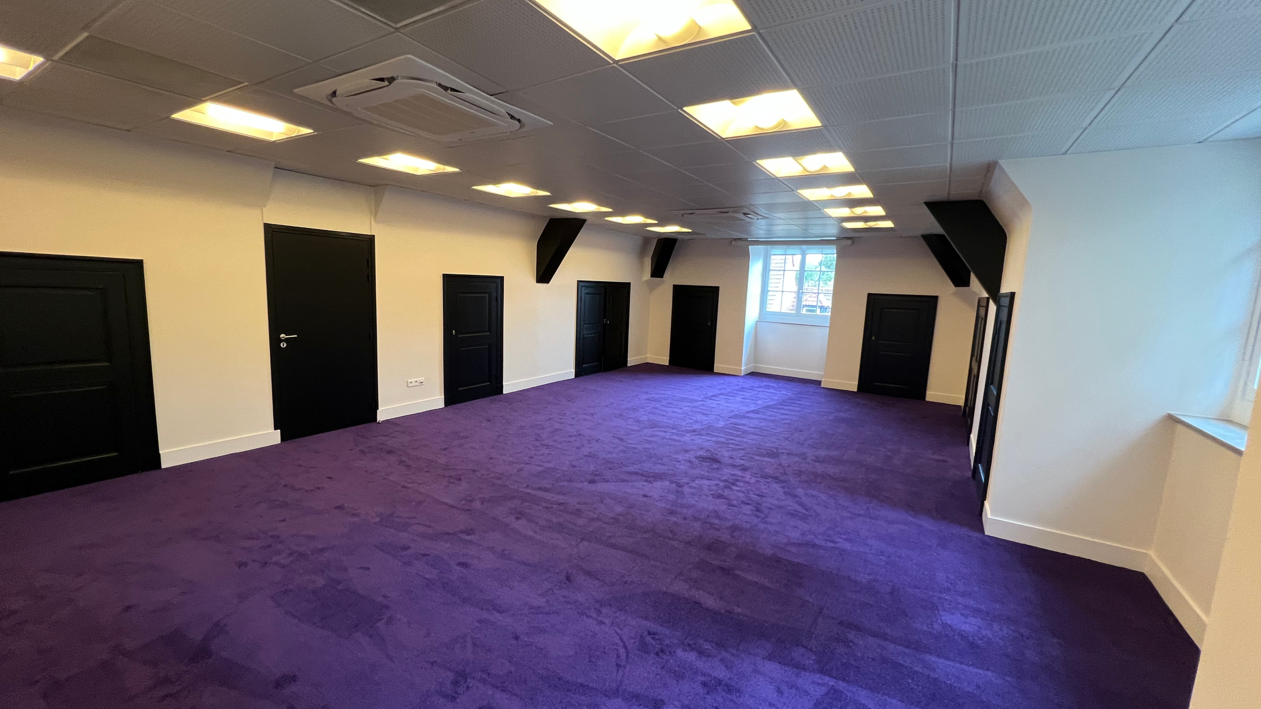 Pose de dalles moquette et peinture Murs/boiseries